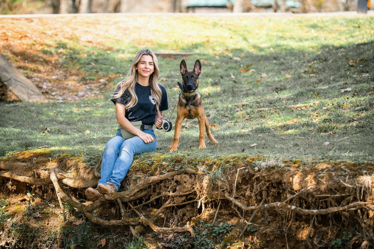 A trainer sits on a mossy bank with a young Belgian Malinois beside her in warm autumn light