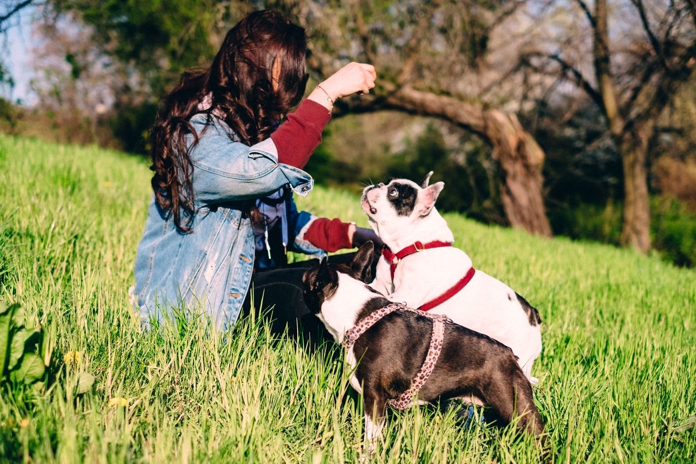 A woman in a denim jacket sitting with two dogs on a grassy hill